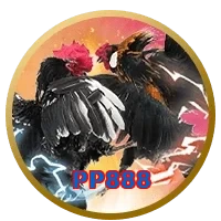 PP888