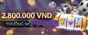 PP888