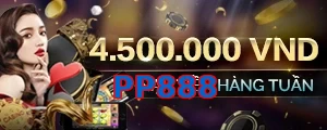 PP888