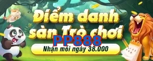 PP888