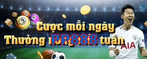 PP888